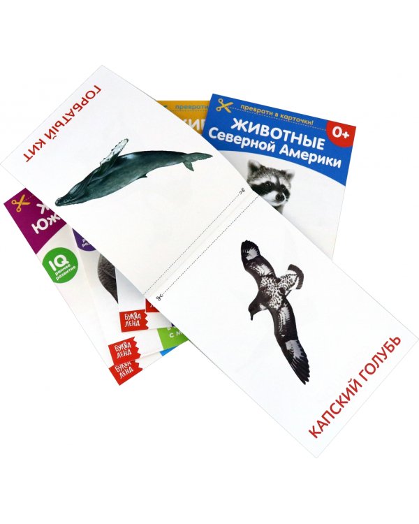 Карточки Домана. Животные материков. Набор из 6-ти книг