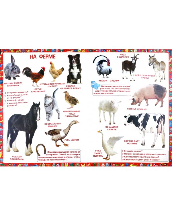 Первая книга животных для малышей