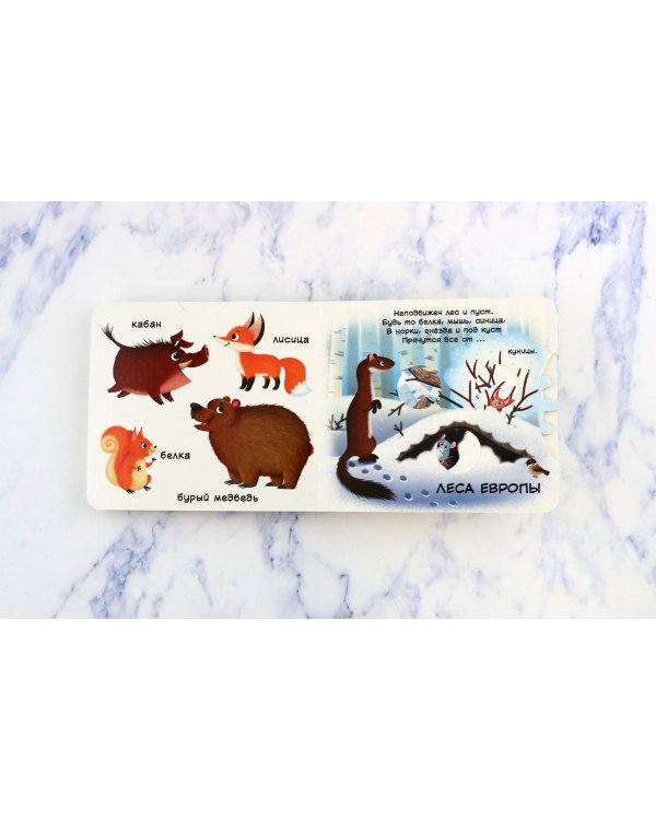 Животные. Узнай, играй, крути, толкай