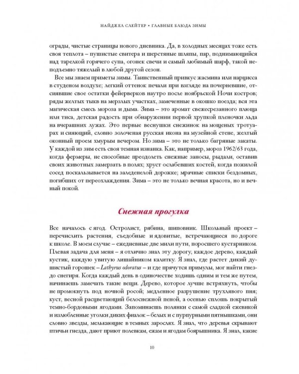 Главные блюда зимы. Рождественские истории и рецепты (специи)