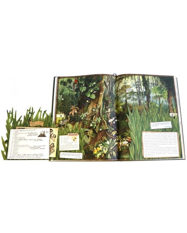 Затерянный мир