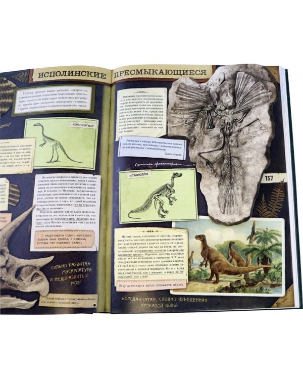 Затерянный мир