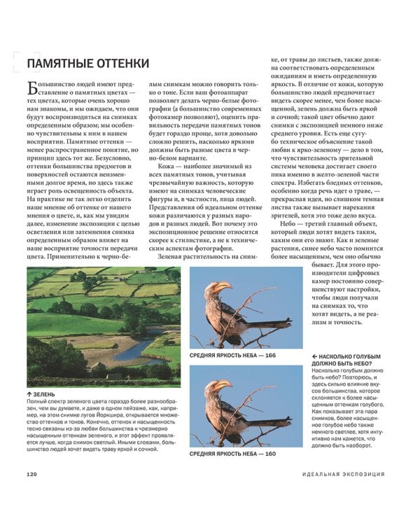 Идеальная экспозиция. Профессиональное практическое руководство