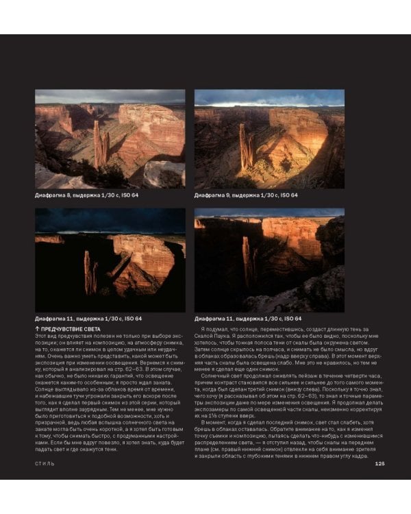 Идеальная экспозиция. Профессиональное практическое руководство