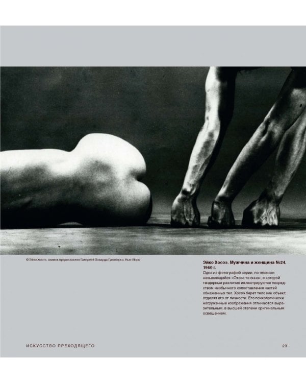 Взгляд фотографа. Как научиться разбираться в фотоискусстве, понимать и ценить хорошие фотографии