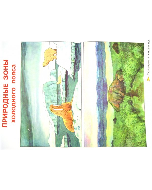 Окружающий мир. 2 класс. Комплект наглядных пособий. Часть 4