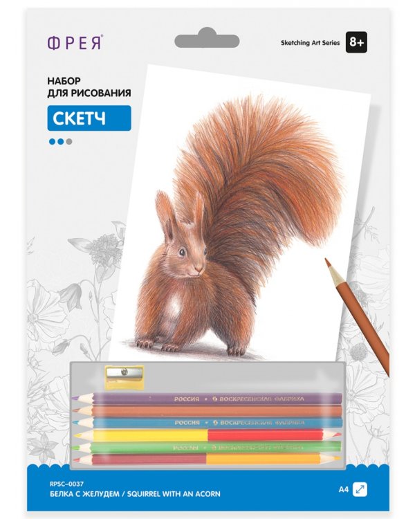 Набор для рисования. Скетч. Белка с желудем