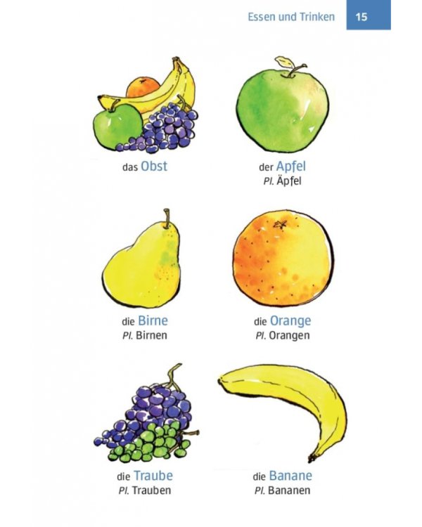 Erste Hilfe Deutsch – Bildwörterbuch. Buch mit MP3-Download. Die wichtigsten Wörter