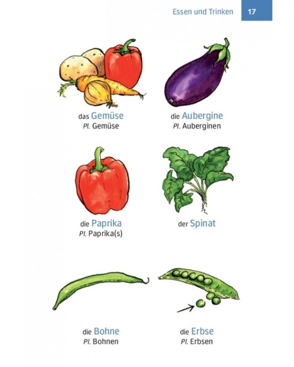 Erste Hilfe Deutsch – Bildwörterbuch. Buch mit MP3-Download. Die wichtigsten Wörter