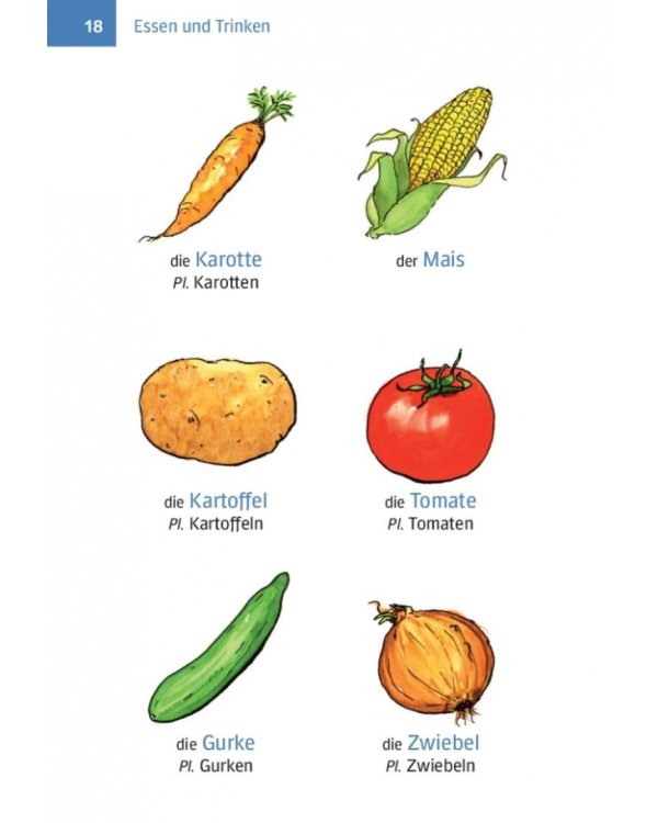 Erste Hilfe Deutsch – Bildwörterbuch. Buch mit MP3-Download. Die wichtigsten Wörter