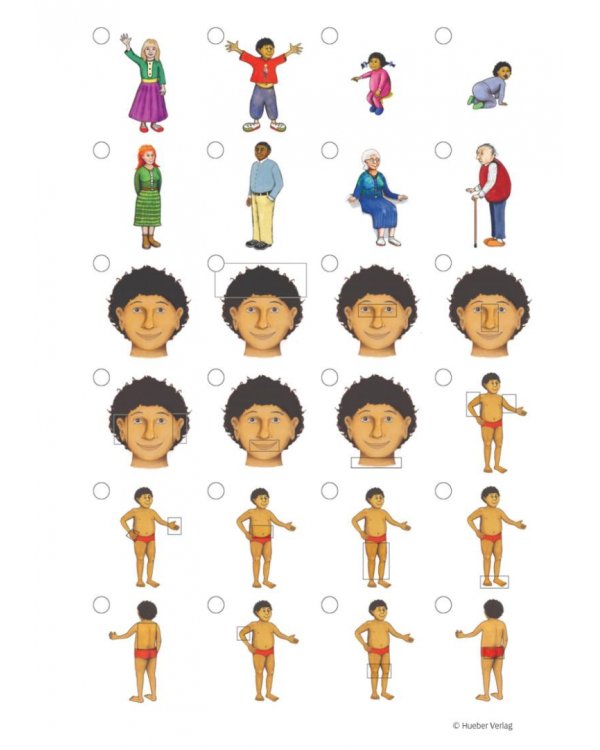 Kikus Deutsch. Arbeitsblätter Bildkärtchen zur Bearbeitung und Wiederholung des Wortschatzes