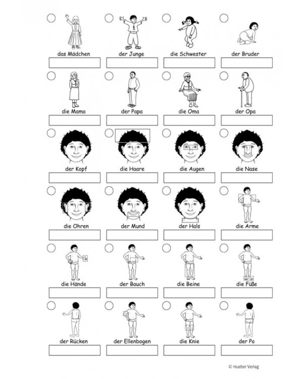 Kikus Deutsch. Arbeitsblätter Bildkärtchen zur Bearbeitung und Wiederholung des Wortschatzes