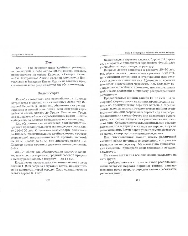 Декоративная изгородь