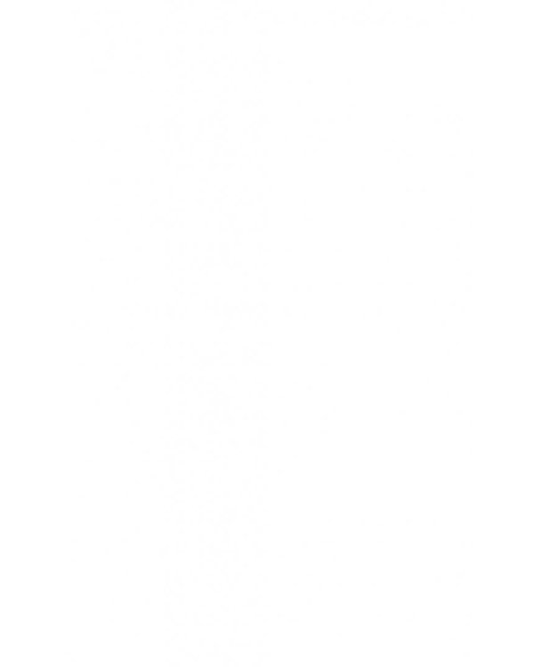 Небесный почтальон Федя Булкин