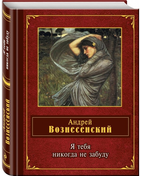 Я тебя никогда не забуду