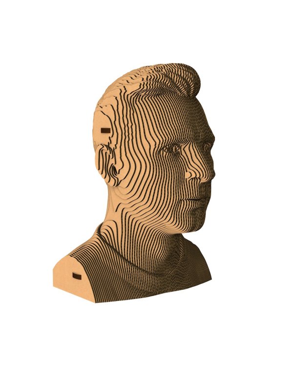 3D конструктор. Сборный бюст. Месси