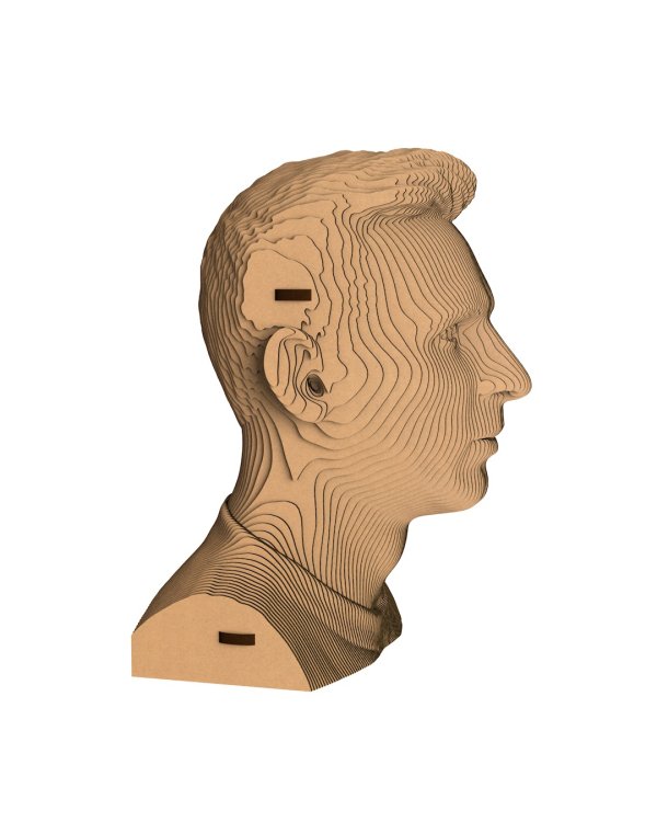 3D конструктор. Сборный бюст. Месси