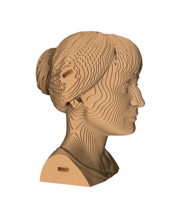 3D конструктор. Сборный бюст. Ахматова