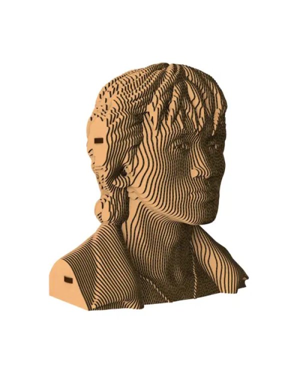 3D конструктор. Сборный бюст. Цой