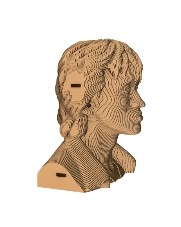 3D конструктор. Сборный бюст. Цой