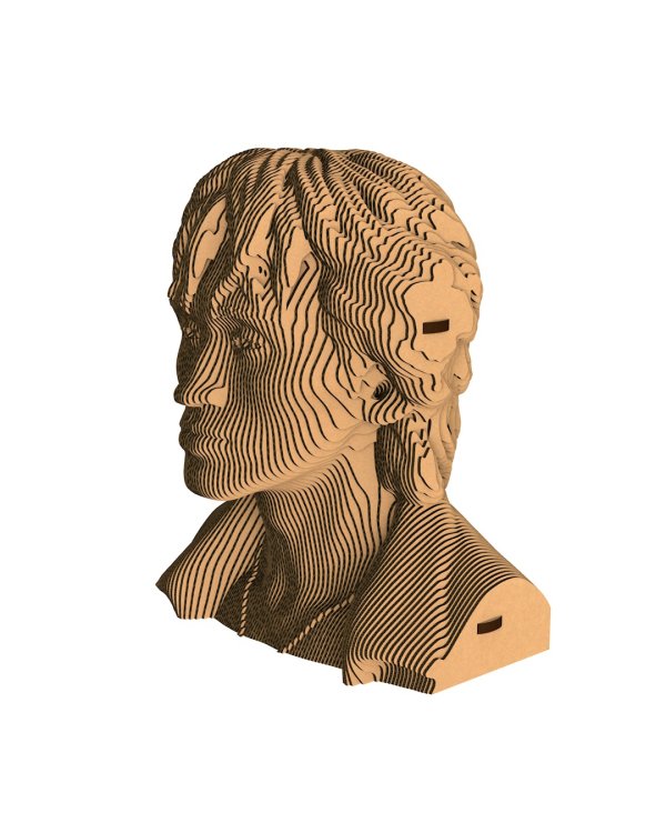 3D конструктор. Сборный бюст. Цой