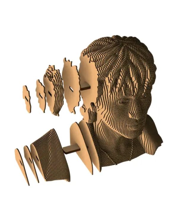 3D конструктор. Сборный бюст. Цой