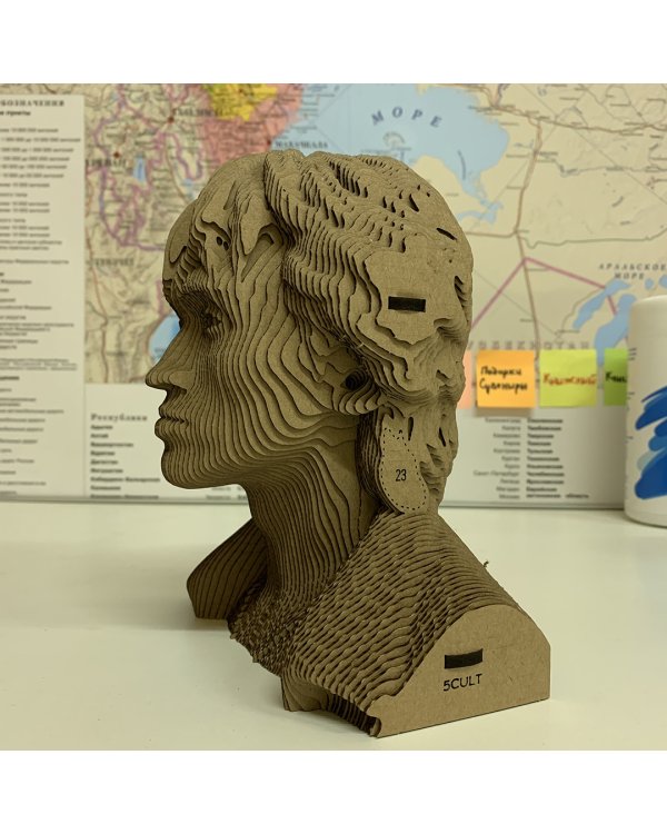 3D конструктор. Сборный бюст. Цой