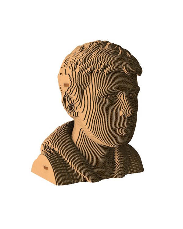 3D конструктор. Сборный бюст. Бодров