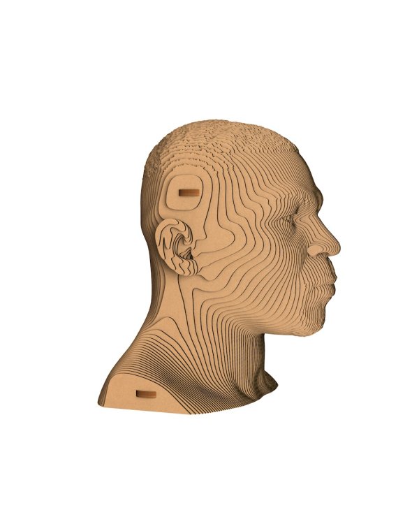 3D конструктор. Сборный бюст. Тайсон