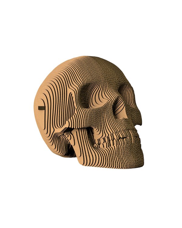 3D конструктор. Сборный череп. Роджер