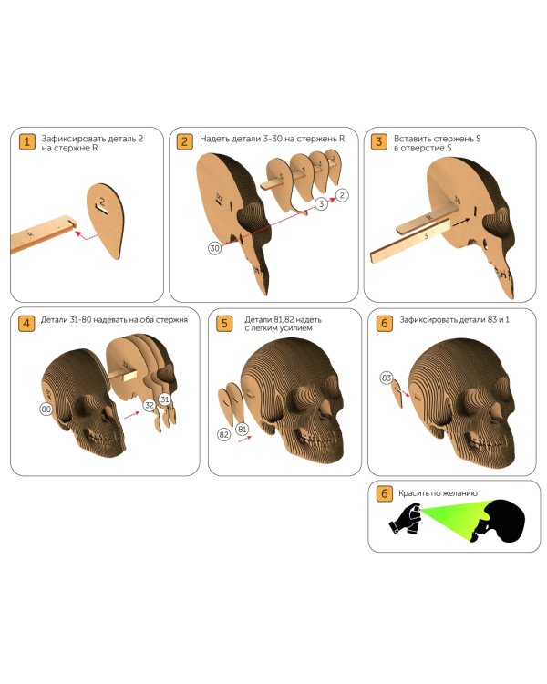 3D конструктор. Сборный череп. Роджер