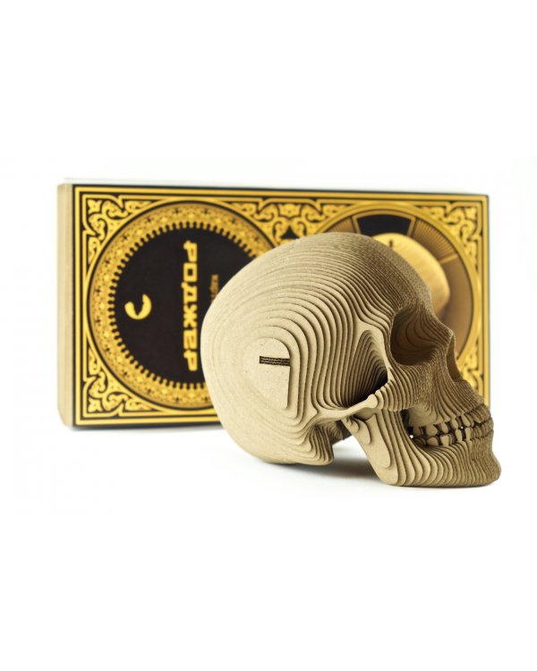 3D конструктор. Сборный череп. Роджер