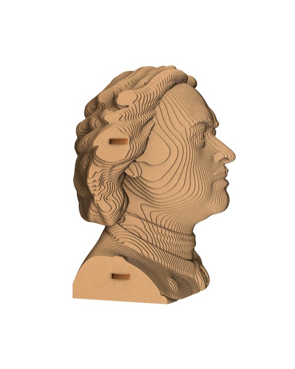 3D конструктор. Сборный бюст. Пётр