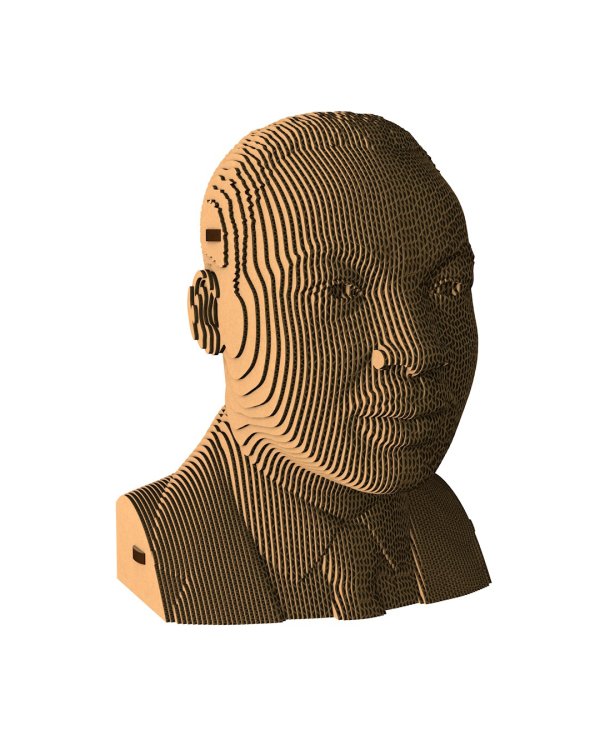 3D конструктор. Сборный бюст. Мартин Лютер Кинг