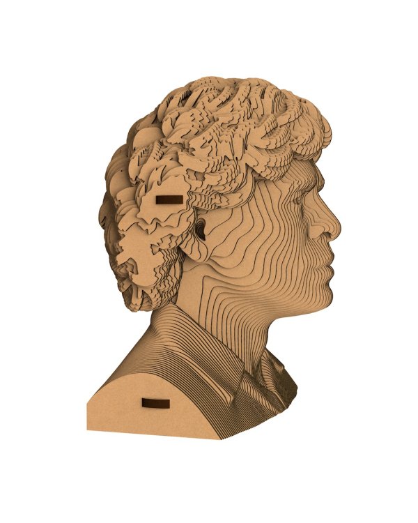 3D конструктор. Сборный бюст. Марадона