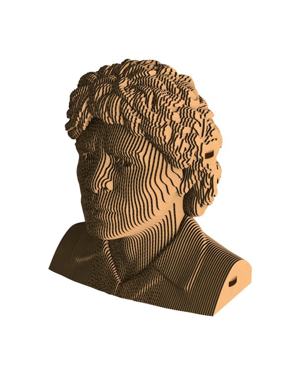 3D конструктор. Сборный бюст. Марадона