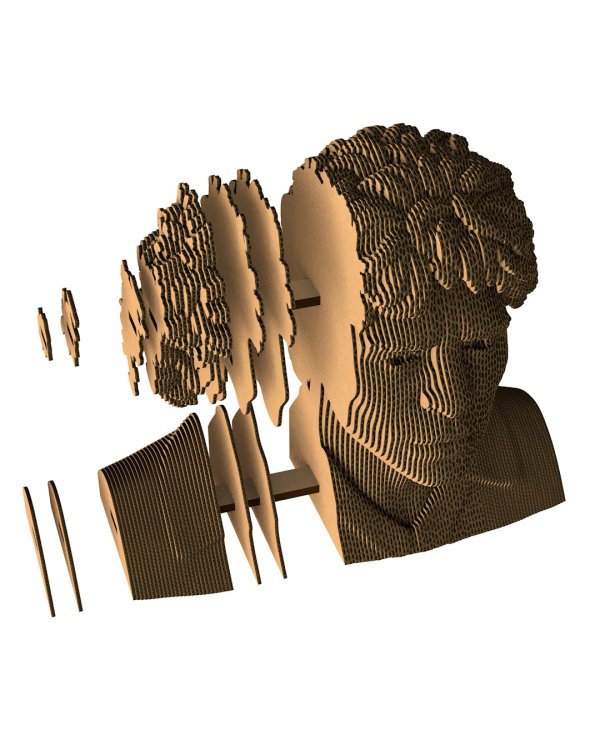 3D конструктор. Сборный бюст. Марадона