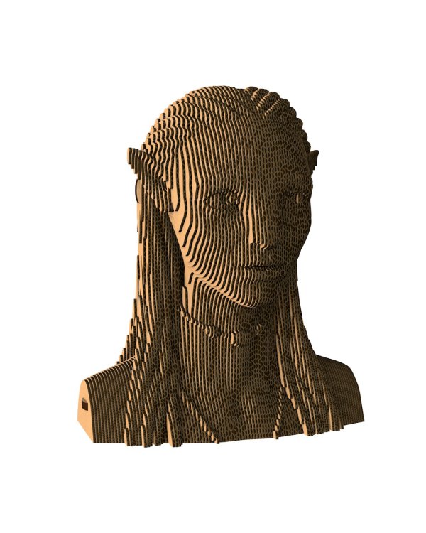 3D конструктор. Сборный бюст. Найтири