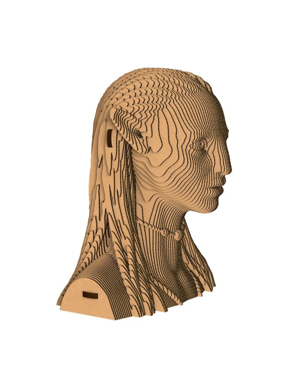 3D конструктор. Сборный бюст. Найтири