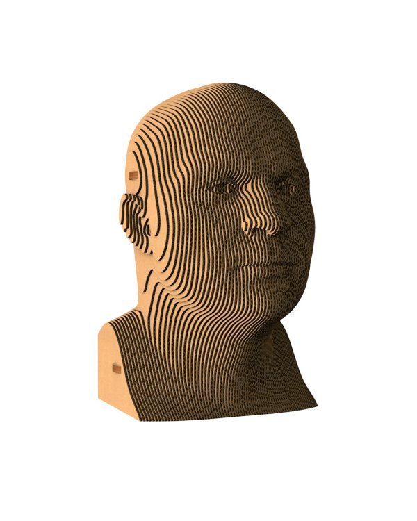 3D конструктор. Сборный бюст. Емельяненко