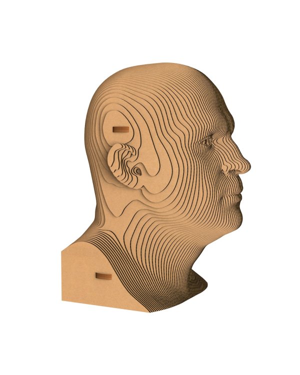 3D конструктор. Сборный бюст. Емельяненко