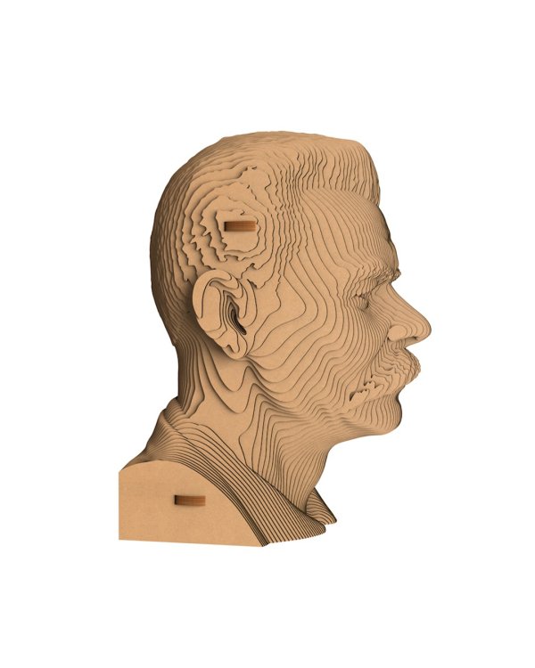 3D конструктор. Сборный бюст. Горький