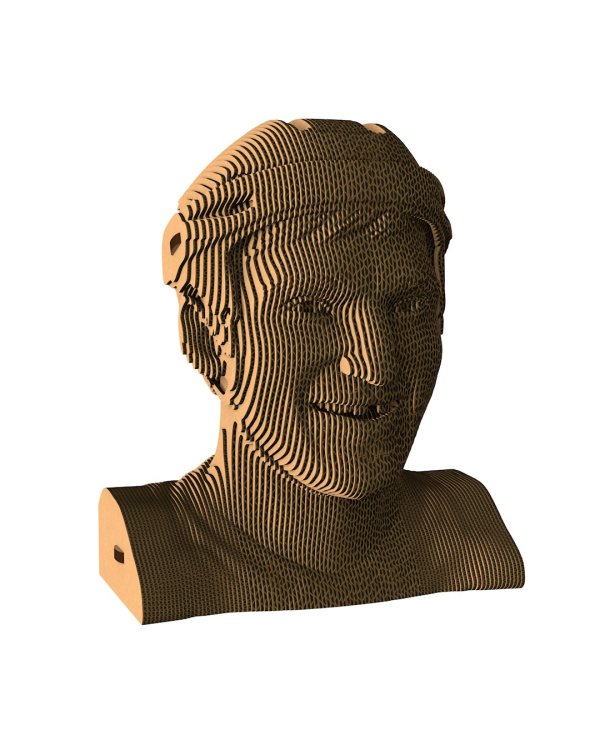 3D конструктор. Сборный бюст. Овечкин