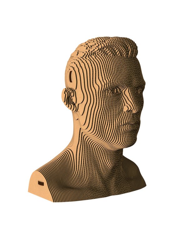 3D конструктор. Сборный бюст. Роналду