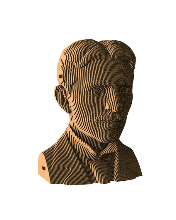 3D конструктор. Сборный бюст. Тесла