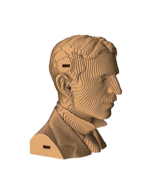 3D конструктор. Сборный бюст. Тесла
