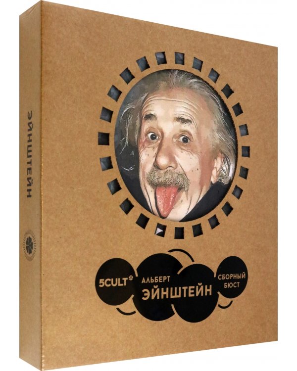 3D конструктор. Сборный бюст. Эйнштейн