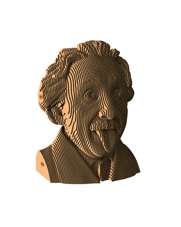 3D конструктор. Сборный бюст. Эйнштейн