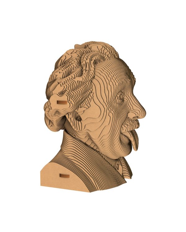 3D конструктор. Сборный бюст. Эйнштейн