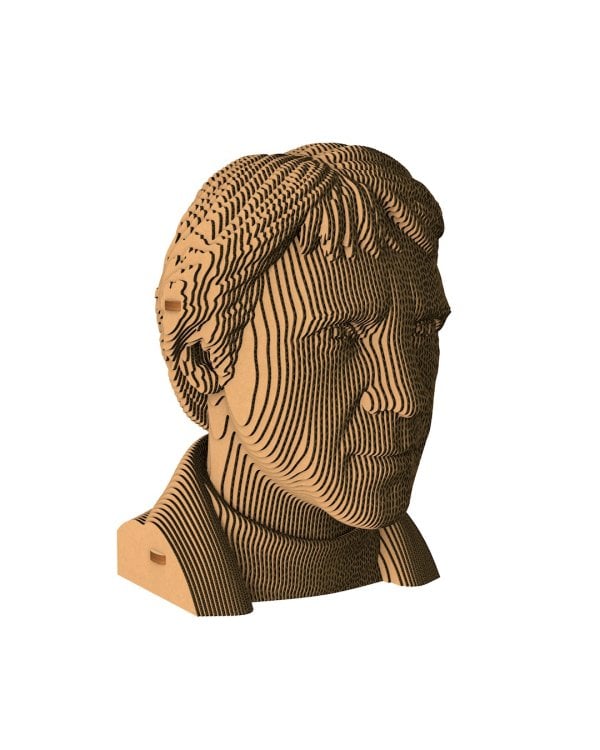 3D конструктор. Сборный бюст. Высоцкий